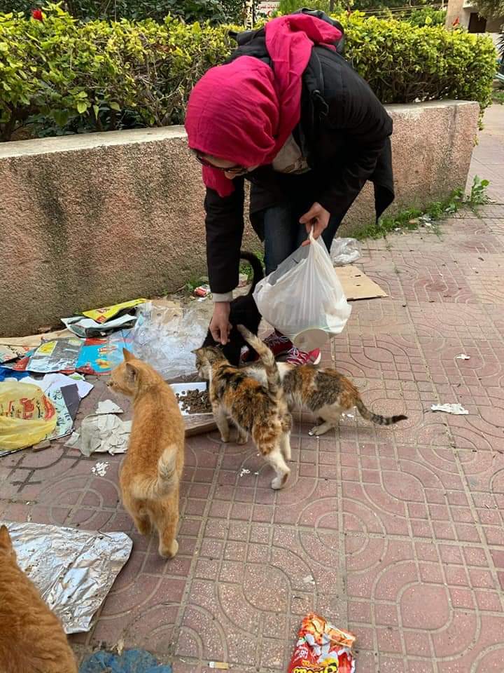 FB_IMG_1676399004432