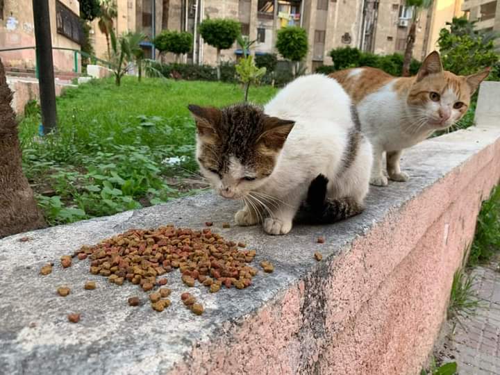 FB_IMG_1676399006950