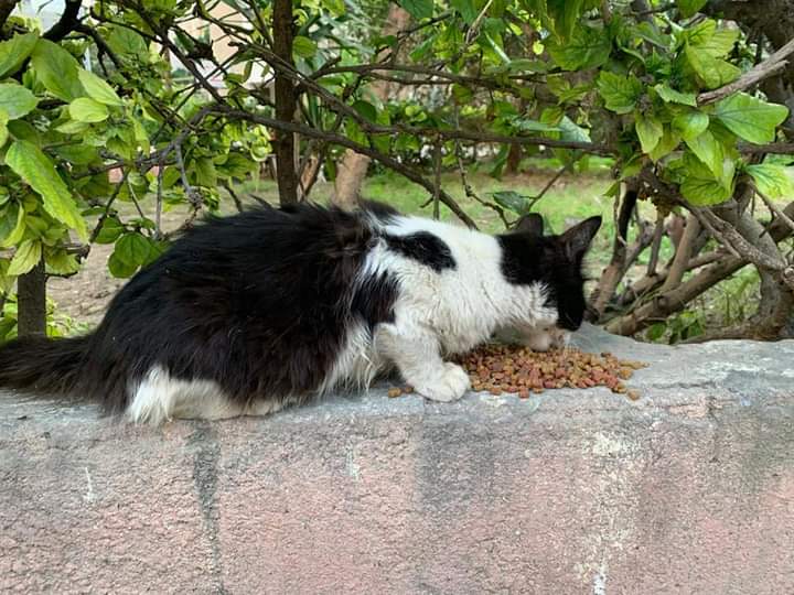 FB_IMG_1676398265159