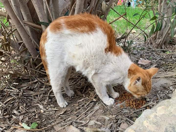 FB_IMG_1676398267076