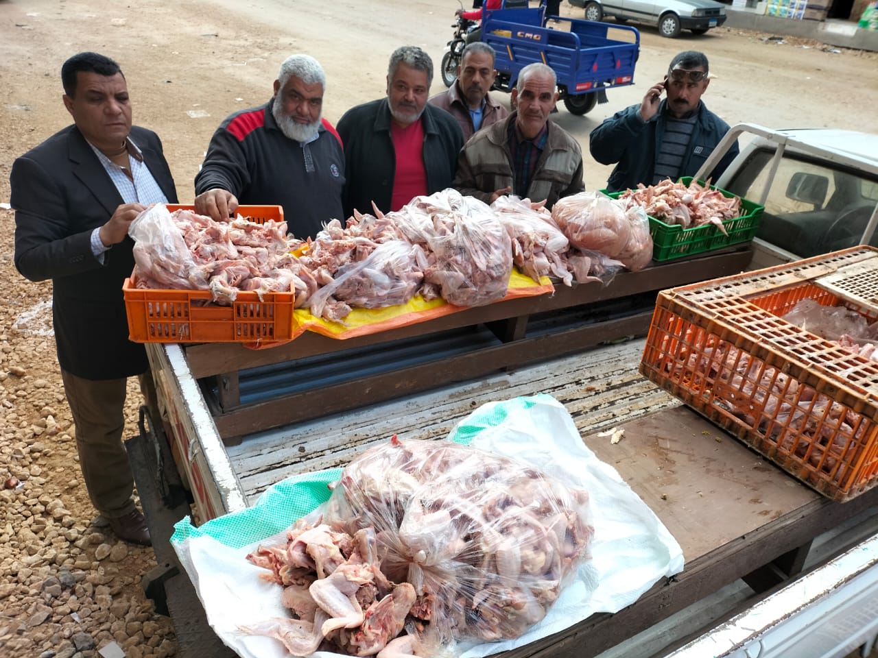 دجاج غير صالح للاستهلاك 3