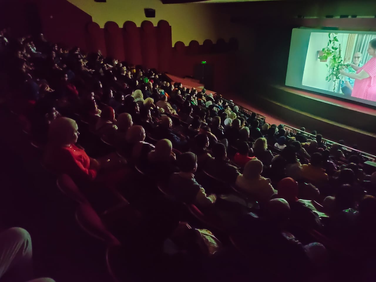 مهرجان الإسكندرية للفيلم القصيرة (6)