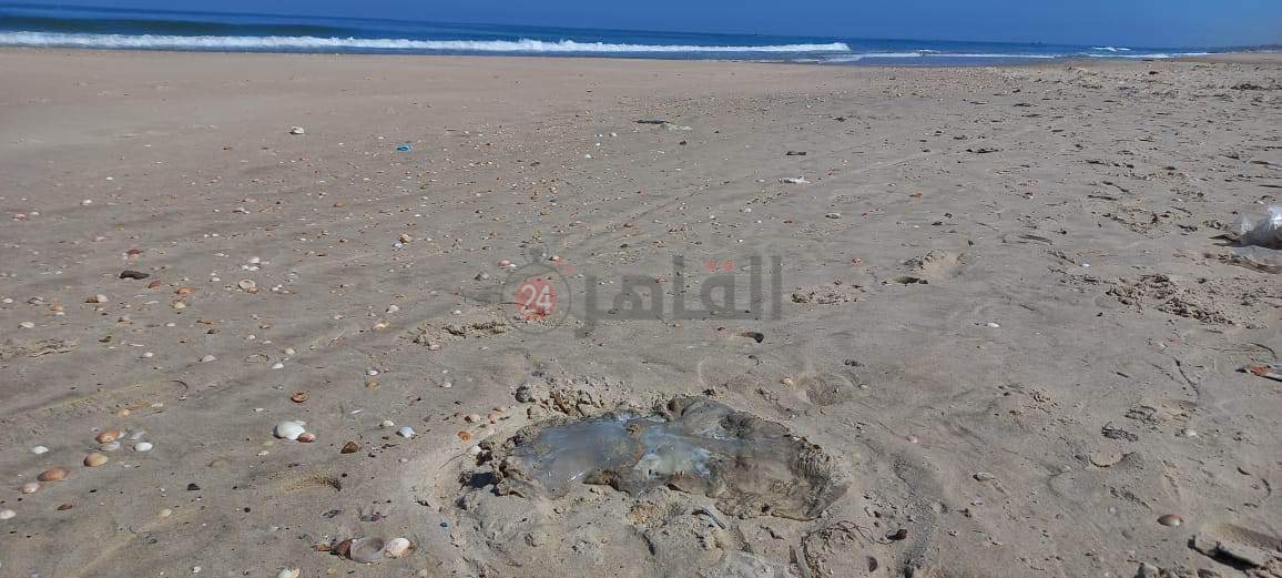 received_6016820161672546