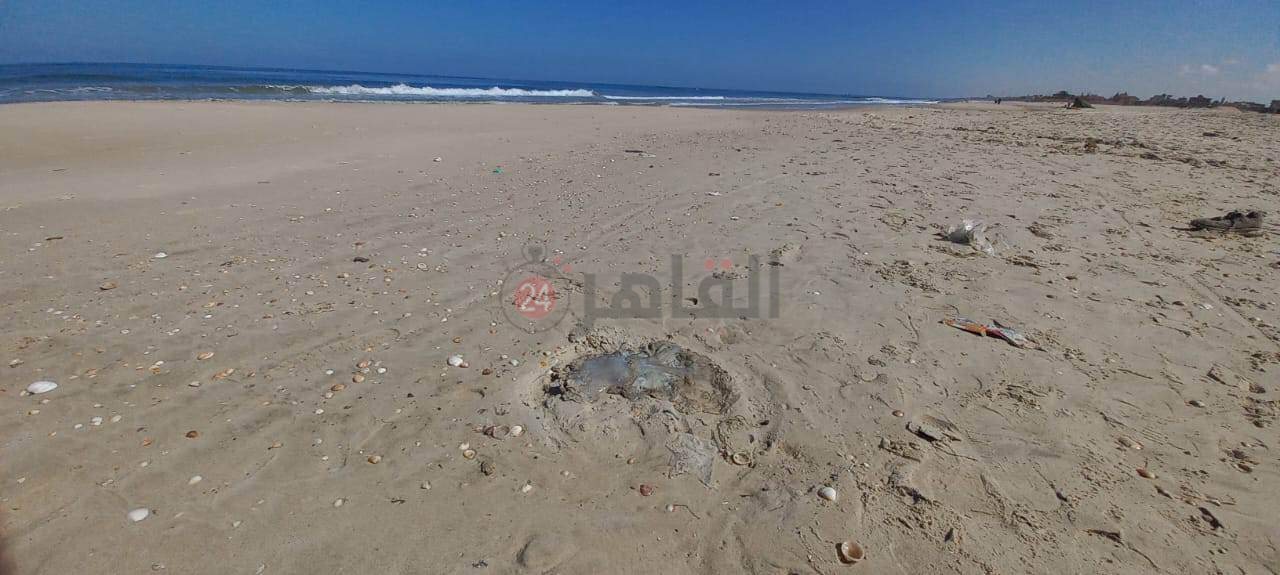 received_459720432947240