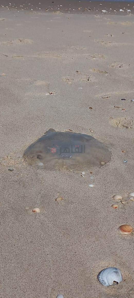 received_1240321353255127