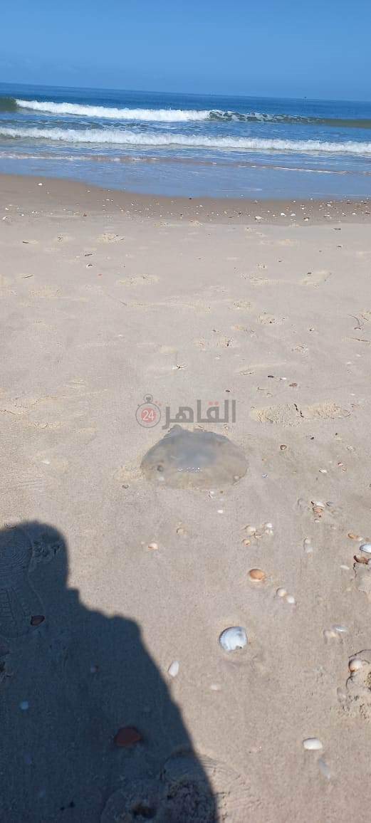 received_933164397843543