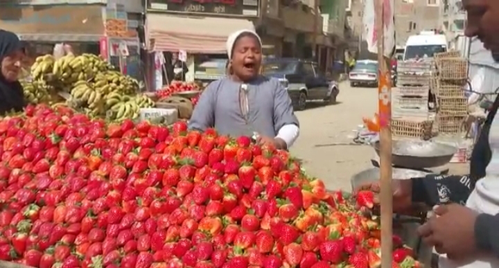 cae66926-58a3-4fcf-99af-cb520bbbcf5d