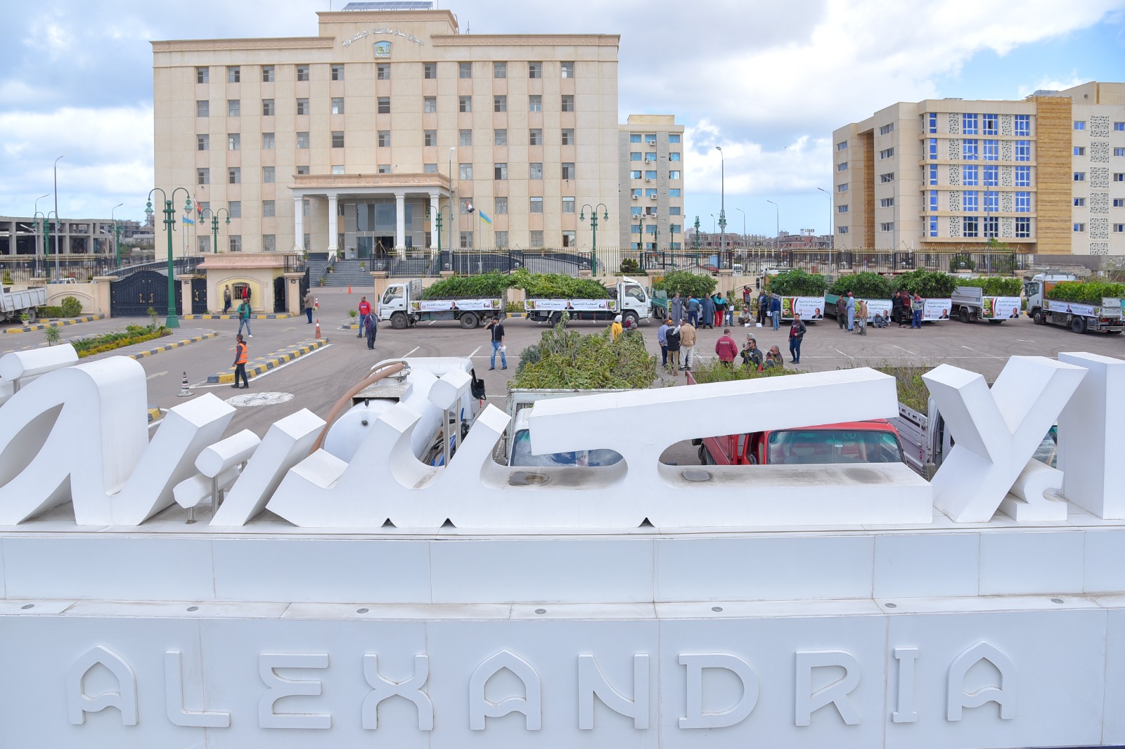 مبادرة 100مليون شجرة 