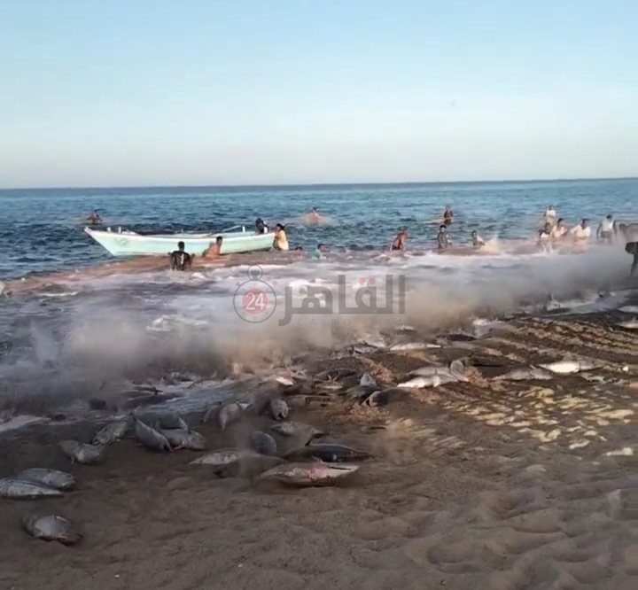 IMG_٢٠٢٣٠٣٠٧_١١٢٥٢٦