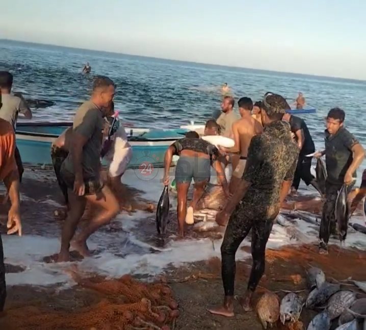 IMG_٢٠٢٣٠٣٠٧_١١٢٣٤٩