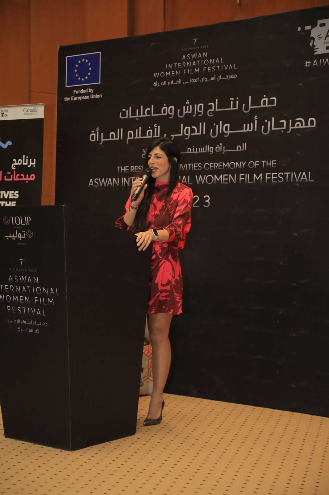 مهرجان أسوان لأفلام المرأة (3)