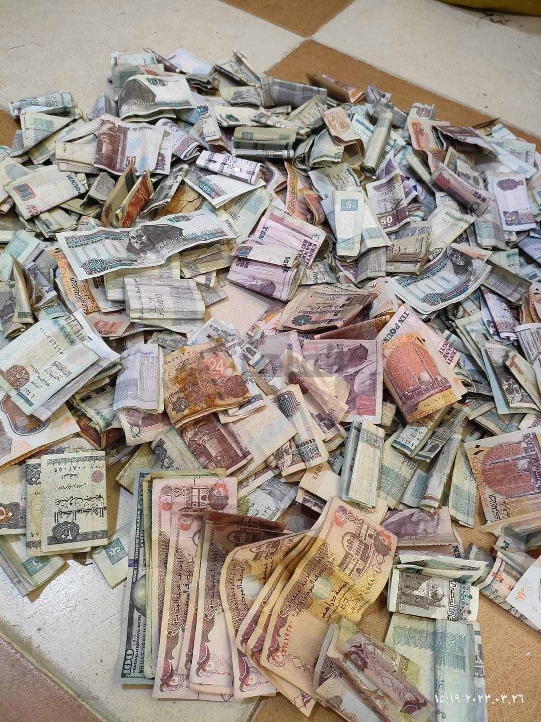 FB_IMG_1679907646429