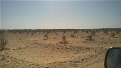 أهالي “يوسف الصديق” يشتكون “الري”: قطع المياه يقتل “الزراعات” وسنصعد الأمر لـ”الرئاسة”