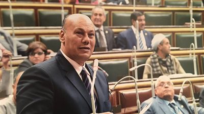 برلمانى يعتدى على أمن جامعة الفيوم.. والمشرفين يردون بتحطيم سيارته (صور)