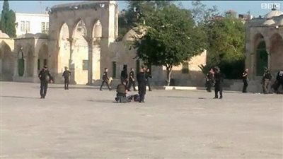 مرثية للأوطان.. قصيدة للشاعر كريم مصطفى حسن