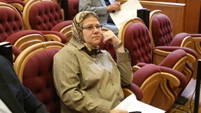 برلمانية: مصر استوردت نفايات بـ15 مليار جنيه.. وتؤكد: لدينا ثروة يتم إهدارها