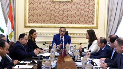 تعاون مشترك لوزارات الاستثمار والتعاون الدولي والمالية والتجارة والصناعة (بيان)