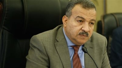 صحة النواب: نناقش مقترحات بترقية وظيفية أو مكافأة لمن لا ينجب كثيراً (فيديو)