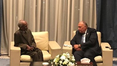 شكري يلتقي الرئيس التنفيذي ورئيس لجنة نقاط الاتصال بالآلية الأفريقية لمراجعة النظراء