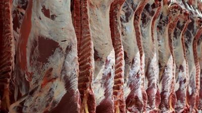 مصر تستورد لحوم وأحشاء وطيور ودهون بقيمة 2.6 مليار دولار