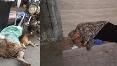 “دفيهم”.. مبادرة لانقا المشردين من البرد بالاتصال