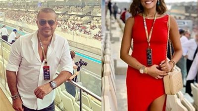 دينا الشربيني حامل.. هل ينتظر عمرو دياب مولوده الخامس بعد 3 زيجات؟ (تقرير)