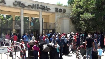 إحالة مسئول بحديقة الحيوان لاتهامه باختلاس مليون ونصف جنيه