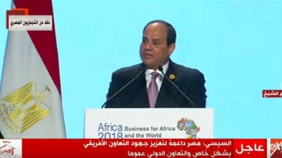 السيسي: مصر ستظل داعمة للتعاون الإفريقي والدولي