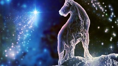 عبير فؤاد تكشف توقعات برج الجدى 2019