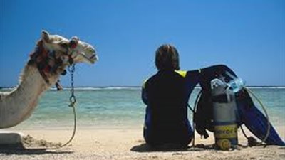 لجنة تسويق السياحة: نسبة الإشغالات في الأقصر وأسوان كاملة العدد