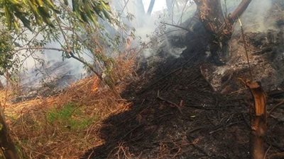 التفاصيل الكاملة لضبط عصابة سرقة خط سولار بنها المحترق