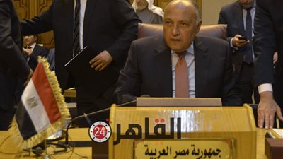 مصر ترفض بيان إثيوبيا بشأن قرار جامعة الدول العربية: انطوى على إهانة غير مقبولة