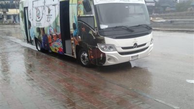 بسبب الأمطار.. تضامن القليوبية: حملة لإنقاذ الأطفال بلا مأوى من الشوارع ونقلهم إلى دور الرعاية (صور)