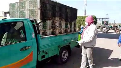 محافظ كفرالشيخ يوجه بتطهير بضائع سوق الجملة (صور)