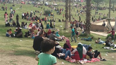 “الإفتاء” تطالب المواطنين بعدم النزول للاحتفال بشم النسيم (صورة)