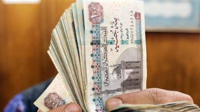 الحكومة: لا صحة لمنح المواطنين 2500 جنيه مقابل تسجيل بياناتهم بموقع التموين| بث مباشر