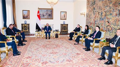 السيسي يستقبل رئيس مجموعة بنك التنمية الإفريقي لبحث زيادة حجم التعاون خلال الفترة المقبلة