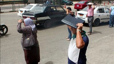 رغم موجات الحر الشديدة.. الزراعة: 20 يوما على بدء فصل الصيف