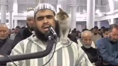 الخشت عن واقعة تسلق قطة للشيخ: أحببت صداقته للقطة التي لم يتخل عنها خلال صلاته