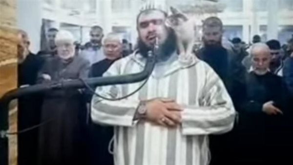 قطة تتسلق كتف إمام