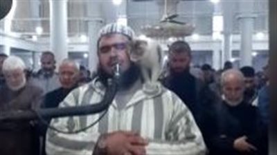 يجسّد معاني الرحمة.. الخارجية البريطانية ووسائل إعلام أوروبية تشيد بمشهد الإمام والقطة