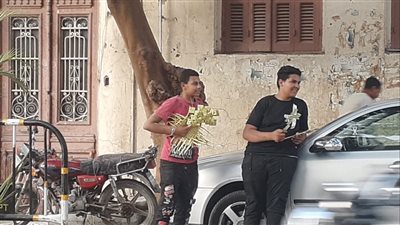 كنائس الأقصر تستعد للاحتفال بأحد الشعانين | صور