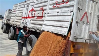 محافظ أسوان يتابع تسلم أول بشائر محصول حصاد القمح المحلي المورد من مزارع توشكى