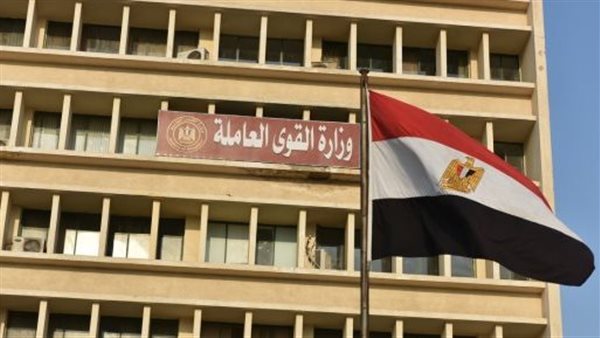  القوى العاملة