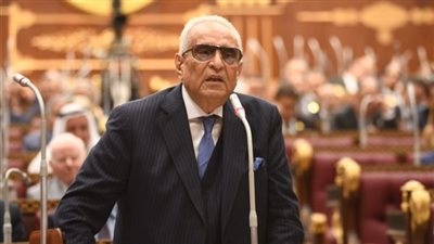 وكيل مجلس الشيوخ يطالب الحكومة بإعداد استراتيجية واضحة بشأن تطوير التعليم الفني