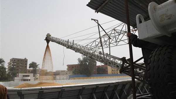 توريد القمح