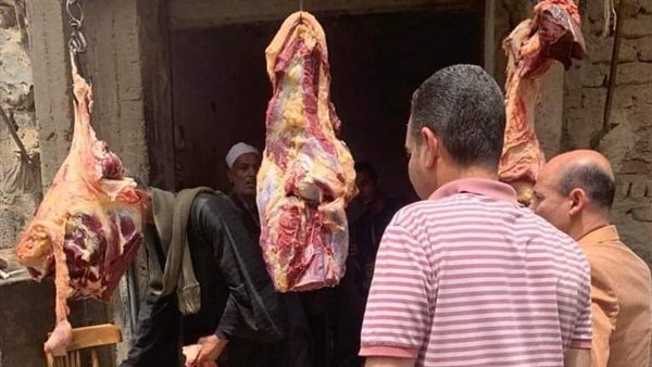 حملات تفتيشية بالمنيا