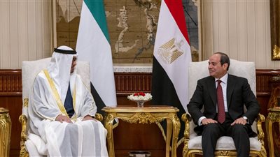 وكالة الأنباء الإماراتية: السيسي وبن زايد تبادلا الأحاديث الودية التي تعبر عن متانة العلاقات الأخوية