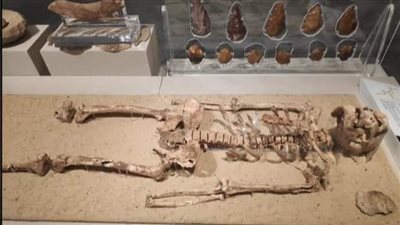 السياحة تكشف مدى دقة الأبحاث البرازيلية لإعداد تصور لوجه هيكل نزلة خاطر بمتحف الحضارة