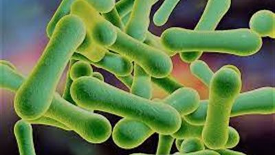 تحذيرات من انتشار حالات عدوى شديدة الخطورة في جميع أنحاء أوروبا